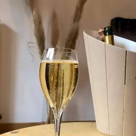 Centre D'epernay Avec Parking Prive * 埃佩尔奈